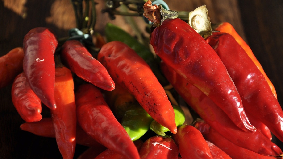 luz azul en pimiento picante.jpg